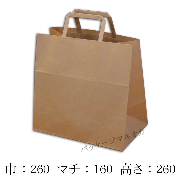 【直送／代引不可】手提げ紙袋 E判 未晒無地 紙紐（平紐） 100g 800枚